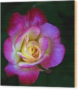 Glowing Rose #1 Wood Print