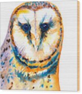 Gorgeous Barn Owl #1 Wood Print