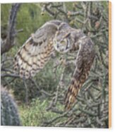 Great Horned Owl #1 Wood Print