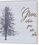 Grow Where You Are Planted #1 Wood Print