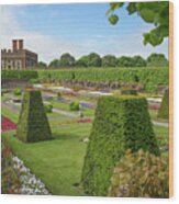 Hampton Palace Gardens #2 Wood Print