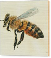 Honey Bee Watercolor Painting #1 Wood Print