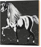 Horse Magnificent Black And White #2 Wood Print
