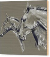 Horse Study #1 Wood Print