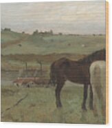 Horses In A Meadow Wood Print