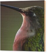 Hummingbird #1 Wood Print