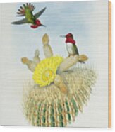 Hummingbirds Wood Print