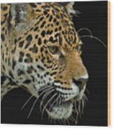 Jaguar #1 Wood Print