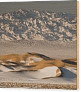 Khongor Sand Dunes In Winter Gobi #1 Wood Print