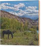 Lake Portrerillos, Mendoza, Argentina #1 Wood Print