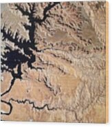 Lake Powell From The Space Stations Earthkam #1 Wood Print