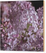 Lilac Bouquet Ii Wood Print