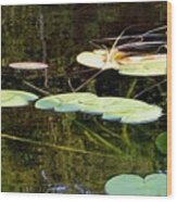 Lily Pads On The Lake Wood Print