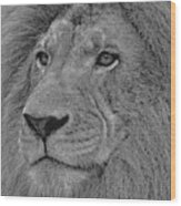 Lion King #1 Wood Print