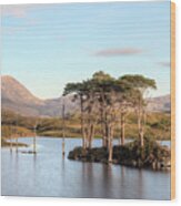 Loch Assynt - Scotland #1 Wood Print