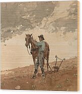 Man With Plow Horse Wood Print