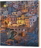 Manarola In Cinque Terre Night #1 Wood Print