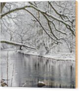 March Snow Along Cranberry River #1 Wood Print