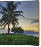Maui Palm Sunset #2 Wood Print