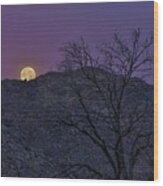 Moon Set At Sunrise Wood Print