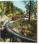 Mount Tamalpais Railway In The 1890s California #1 Wood Print