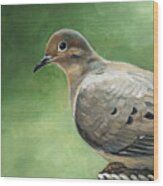Mourning Dove #1 Wood Print