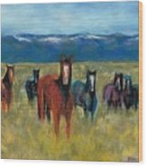 Mustangs In Southern Colorado #1 Wood Print