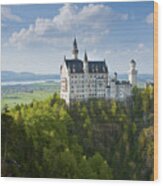 Neuschwanstein Castle #1 Wood Print