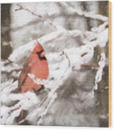 Northern Cardinal In Snow #1 Wood Print