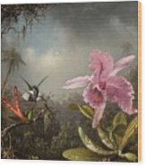Orchid With Two Hummingbirds #1 Wood Print