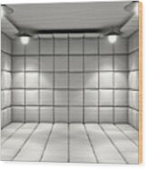 Padded Cell #1 Wood Print