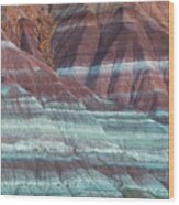 Paria Canyon Wood Print