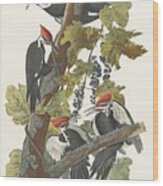 Pileated Woodpecker #1 Wood Print