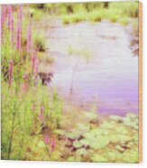 Pond In Summer, Berkshire Mountains, Massachusetts #1 Wood Print