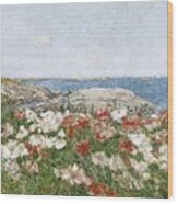 Poppies On The Isles Of Shoals Wood Print