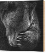 Portrait Of Bear In Black And White Wood Print