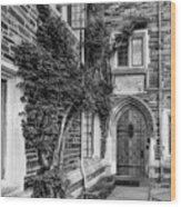 Princeton University Foulke Hall Ii #1 Wood Print