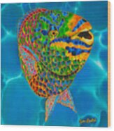 Queen Parrotfish Wood Print