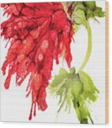 Red Flower #2 Wood Print