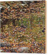 Reflections Of Fall #2 Wood Print