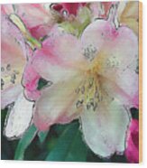 Rhodi Blossoms Wood Print