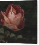 Romantic November Rose Wood Print