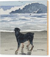 Rottweiler At The Beach  #2 Wood Print