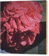 Ruffled Camellia #1 Wood Print