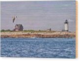 Seagull Over Straitsmouth Lighthouse #1 Wood Print