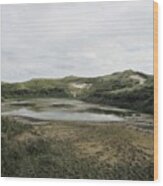 Small Lake In The Noordhollandse Duinreservaat #1 Wood Print