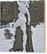 Snow Lady #2 Wood Print