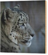 Snow Leopard #1 Wood Print