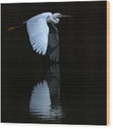 Snowy Egret Wing Reflection #1 Wood Print