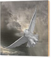 Snowy Owl In Flight #1 Wood Print